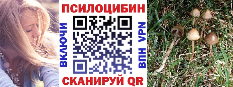 Псилоцибиновые грибы Magic Shrooms  Выборг 